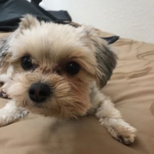 Meet your Posher, Crystal